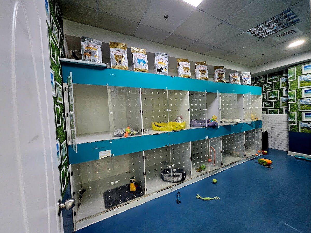 Urban Hub Pet Grooming - Arjan photo 5