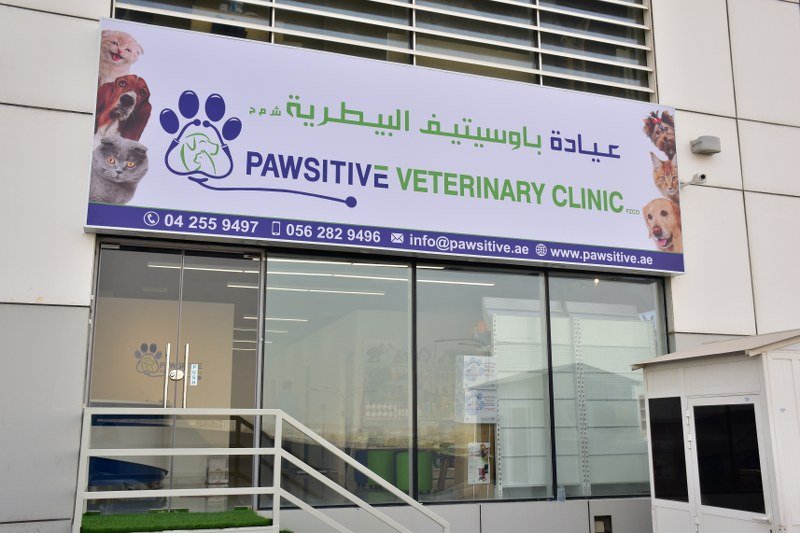 Pawsitive Veterinary Clinic - Dubai Silicon Oasis