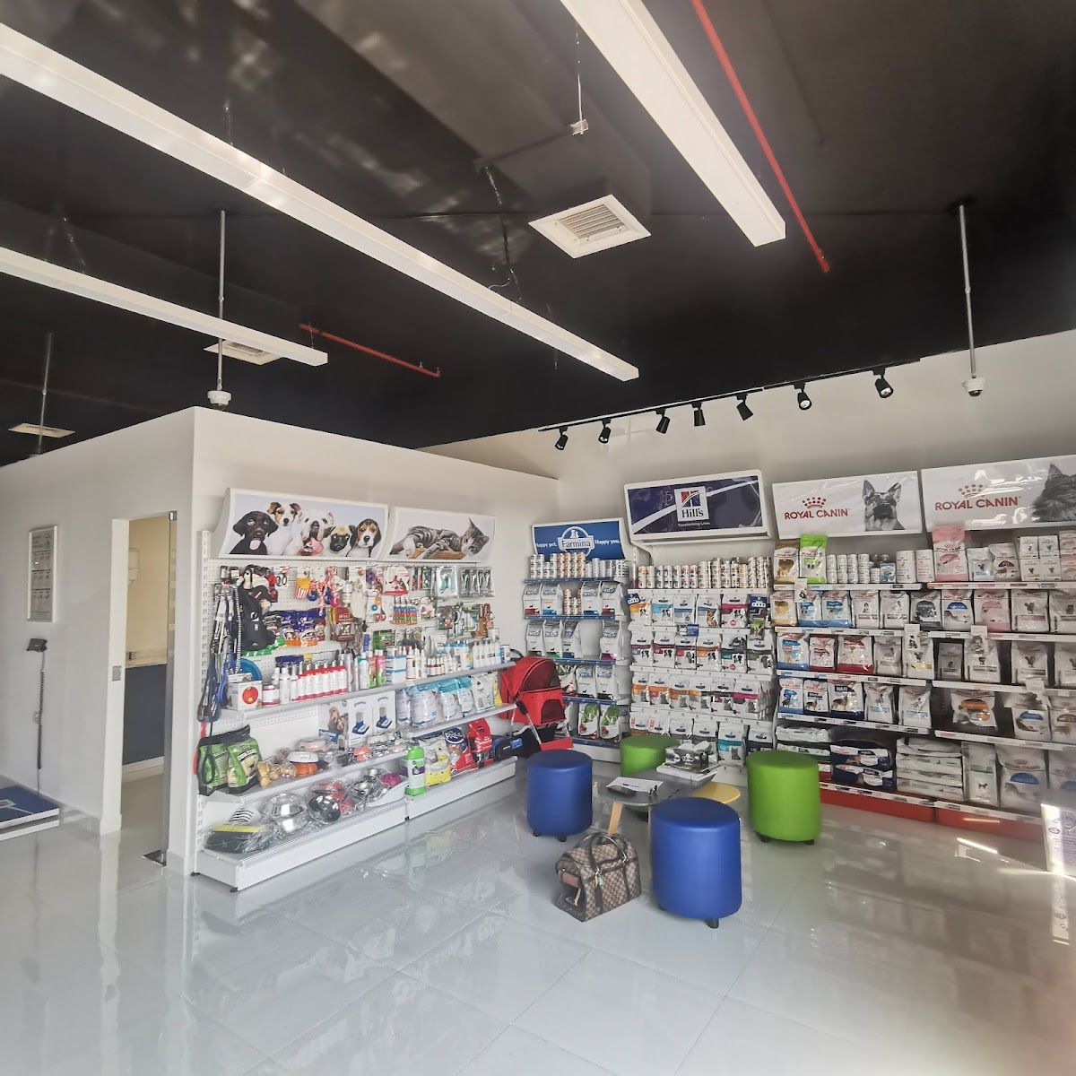 Pawsitive Veterinary Clinic - Dubai Silicon Oasis 2