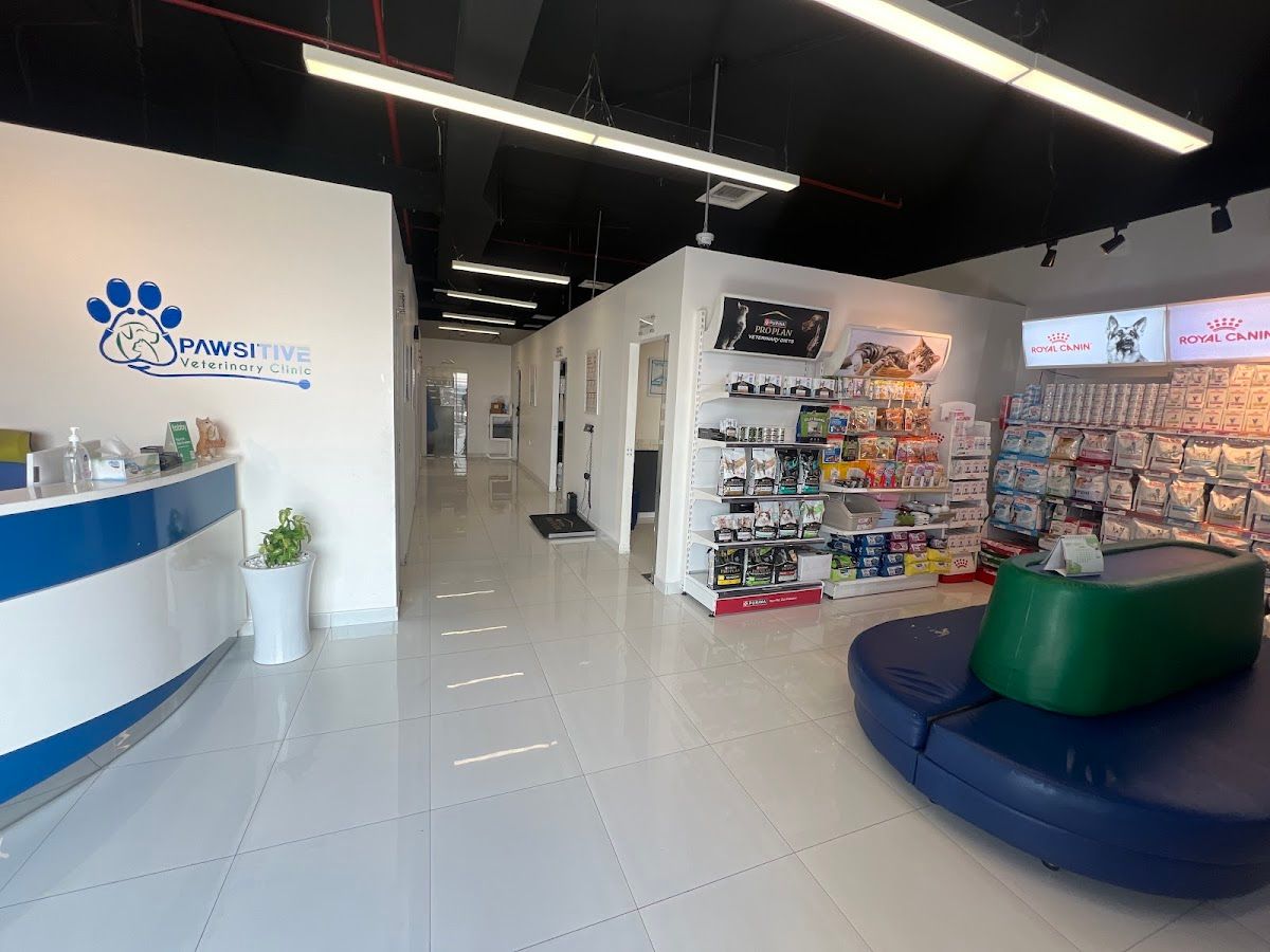 Pawsitive Veterinary Clinic - Dubai Silicon Oasis 3