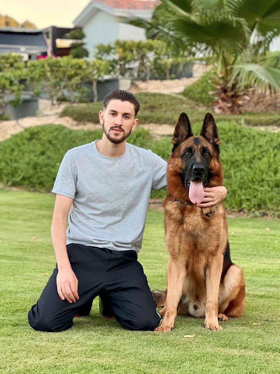 Dog Training Dubai