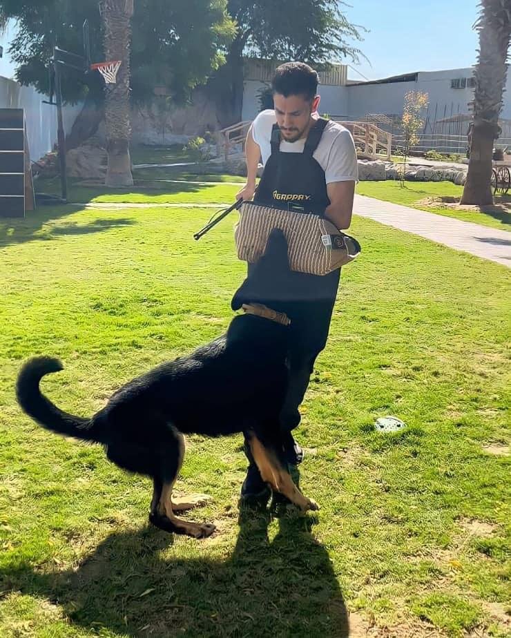 Dog Training Dubai photo 2
