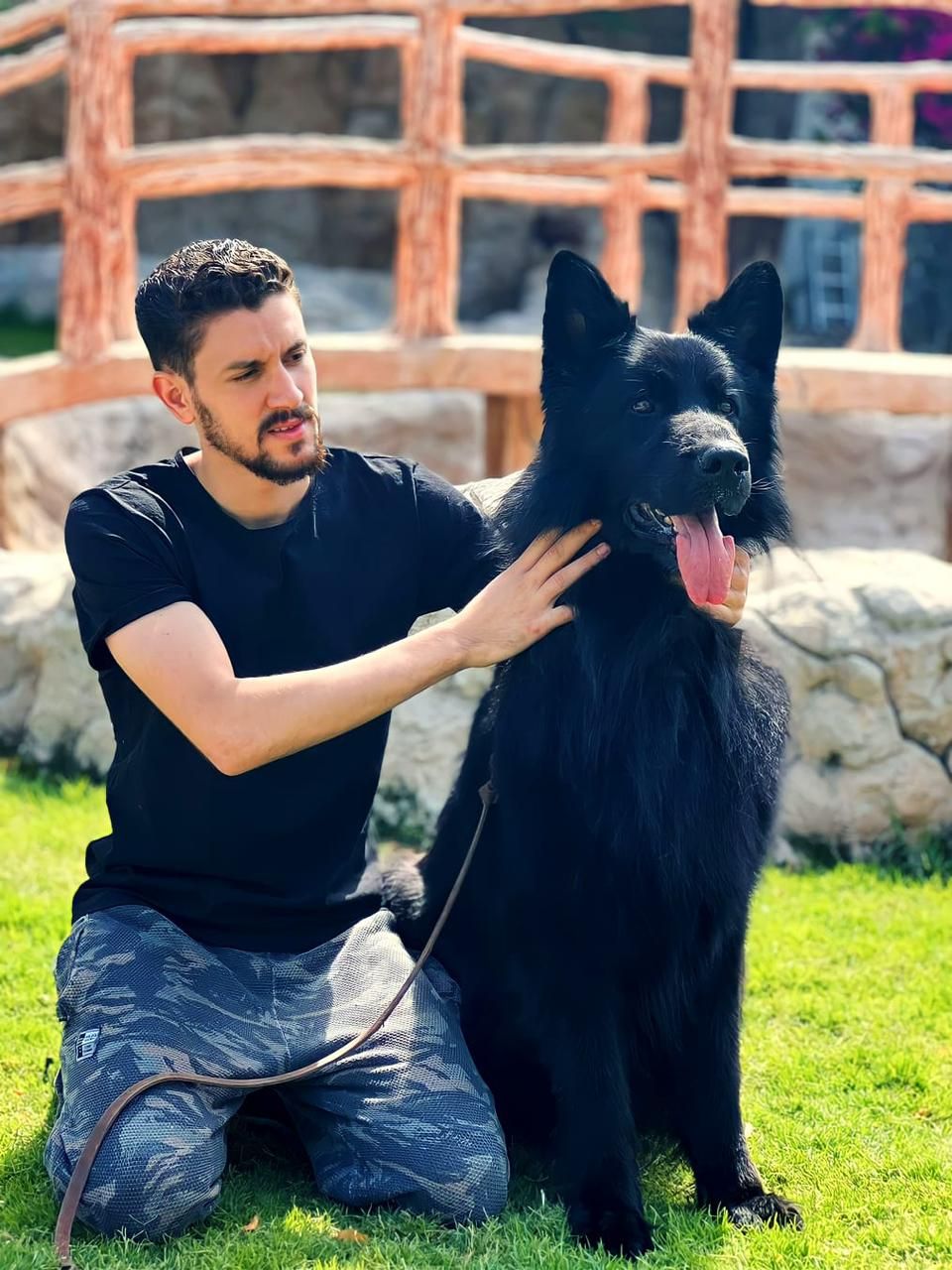 Dog Training Dubai 3