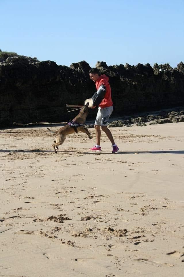 Dog Training Dubai 4