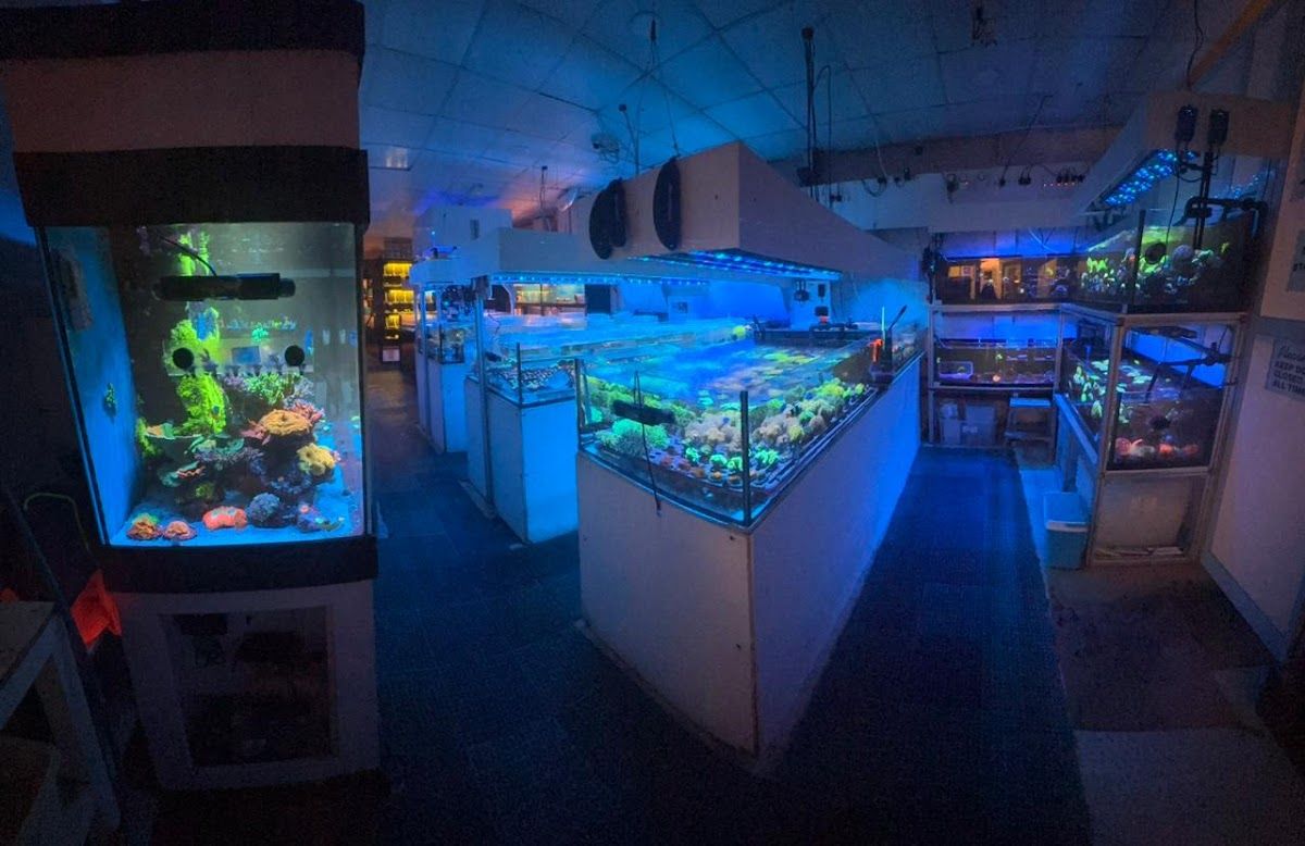 B.P.K Global Trading (Aquarium) 2
