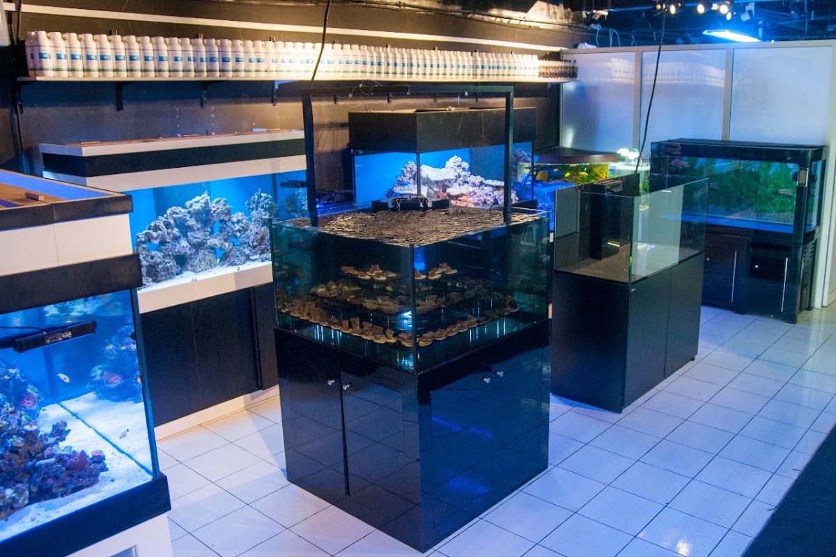 B.P.K Global Trading (Aquarium) 5