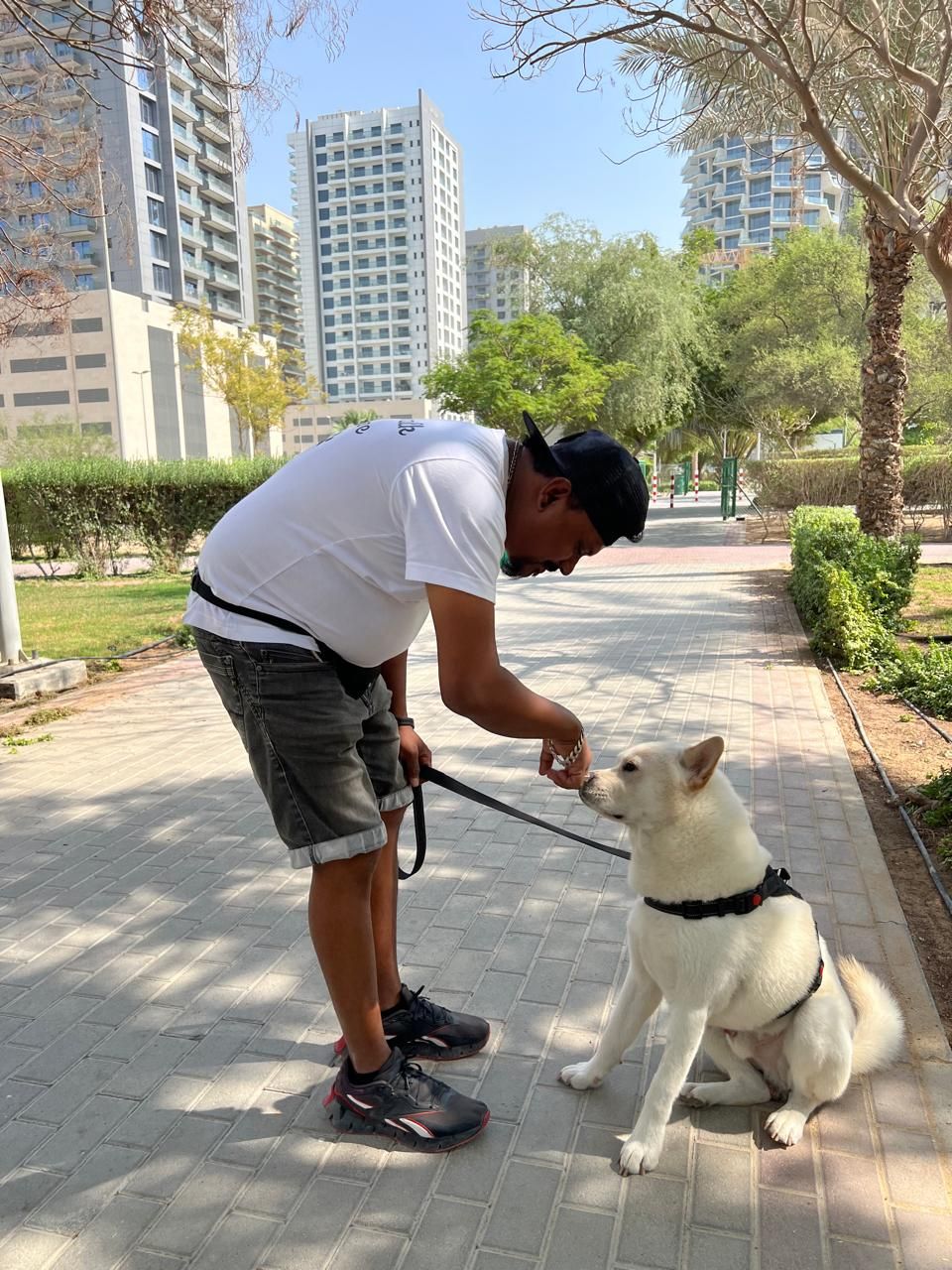 Lovely Walk Pet Care 2
