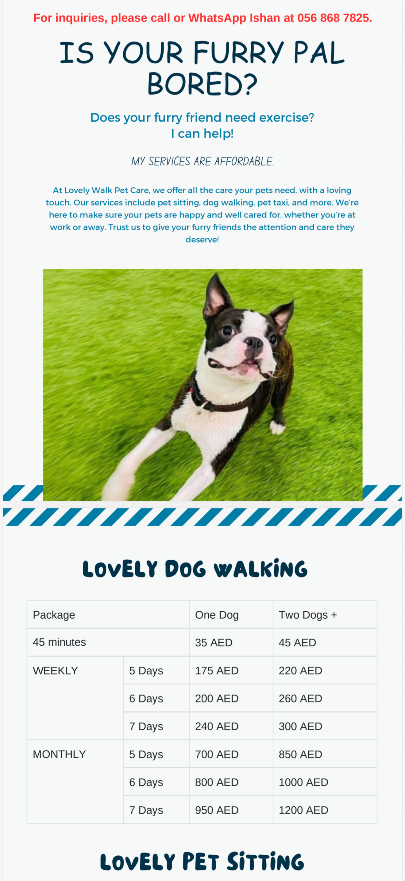 Lovely Walk Pet Care photo 5