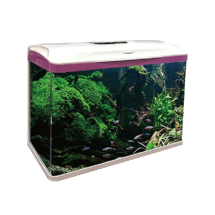 H&H FLOWERS AND PETS TRADING LLC photo 4