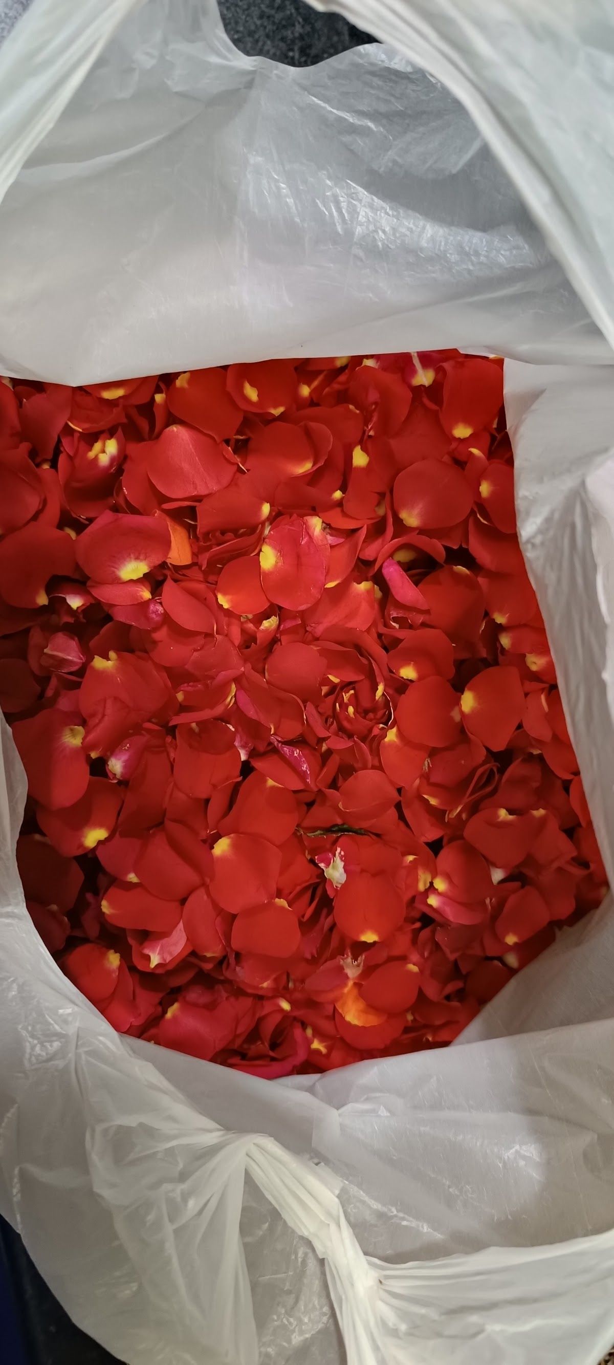 H&H FLOWERS AND PETS TRADING LLC 5