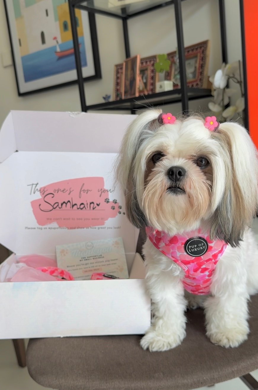 Pup Of Luxury
