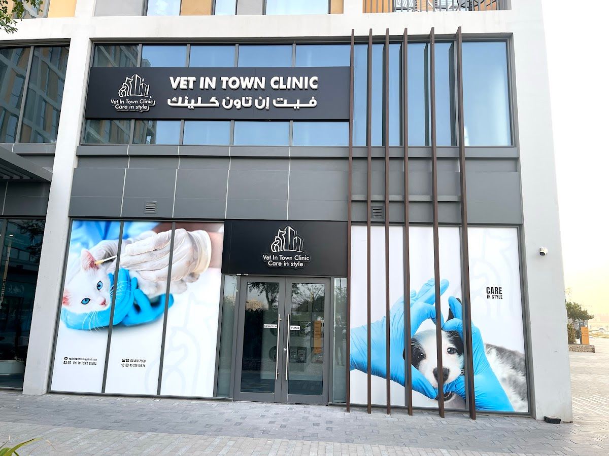 Vet in Town Veterinary Clinic 2