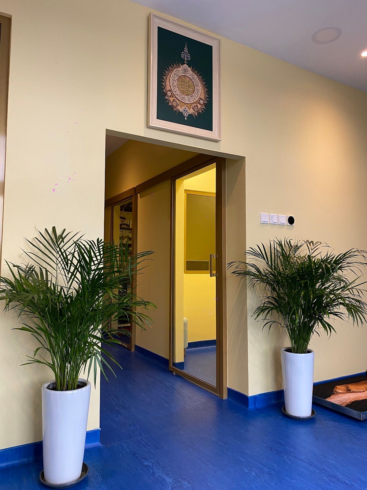 VIP Veterinary Clinic 3