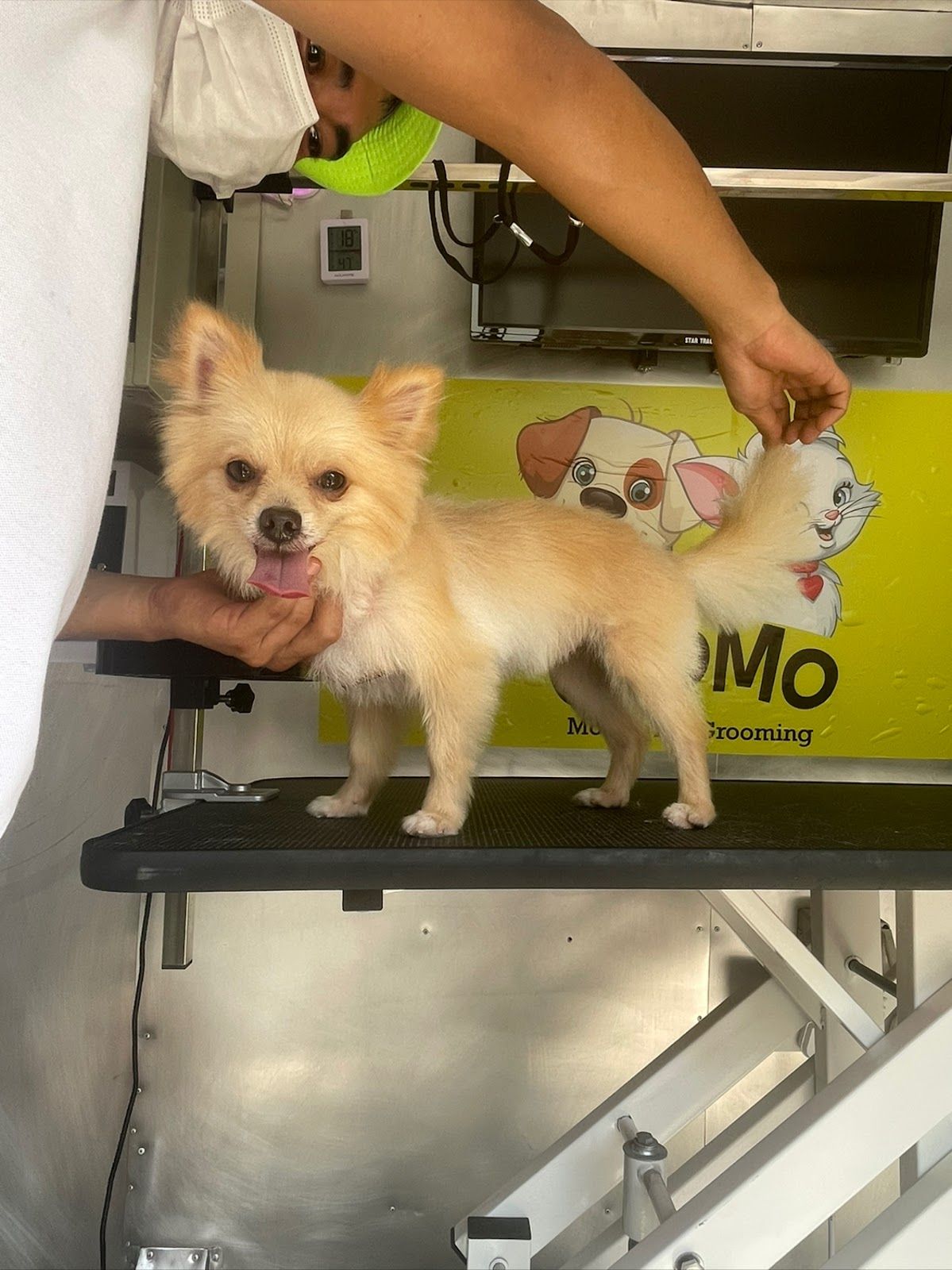 Gromo Mobile Pets Grooming 3