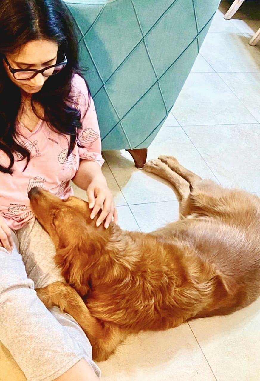 Canine Campus UAE photo 3