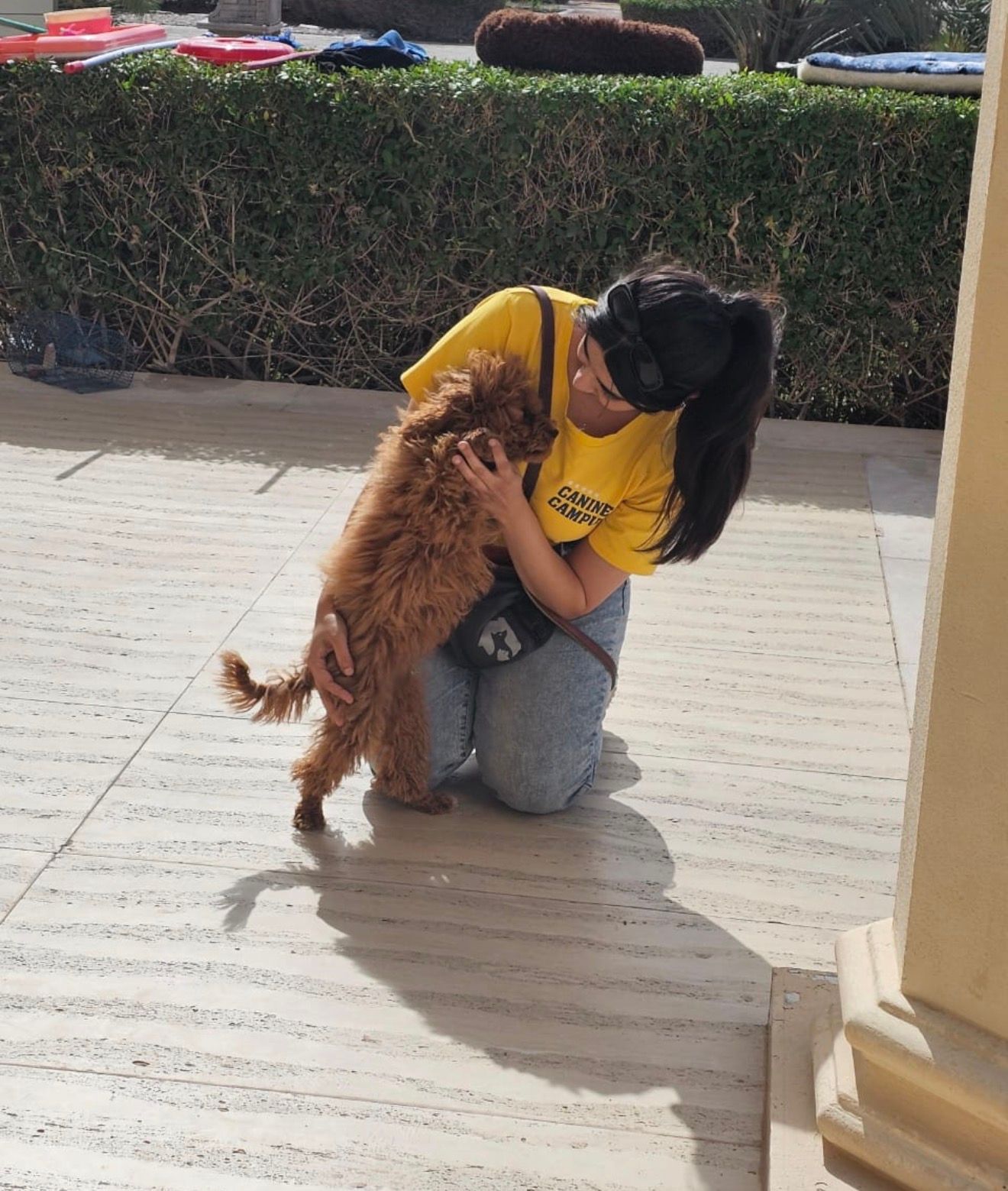 Canine Campus UAE 4