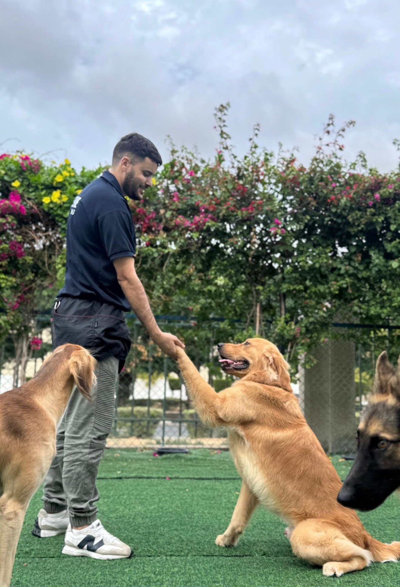 Dogizone training photo 2