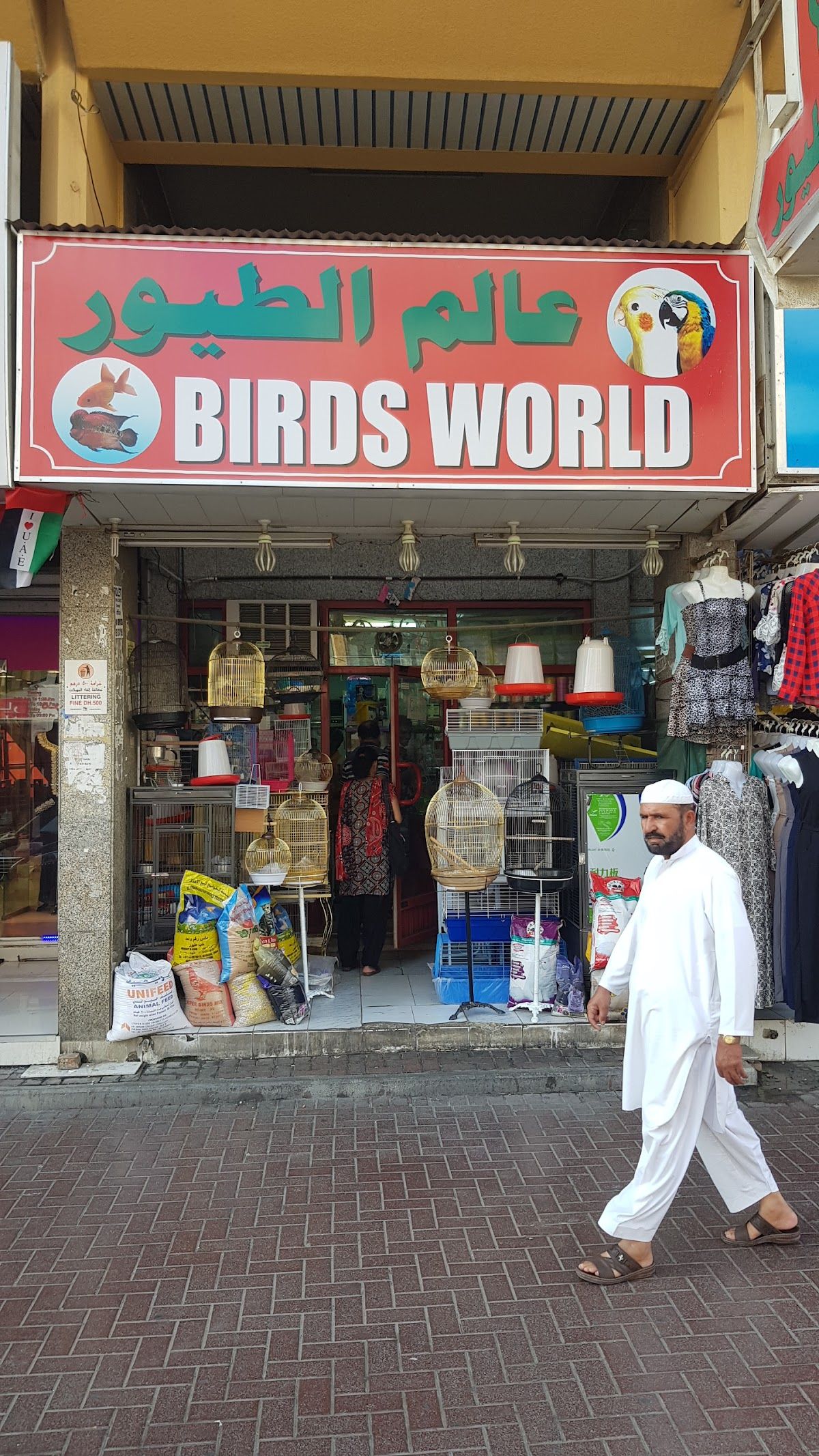 BIRDS WORLD