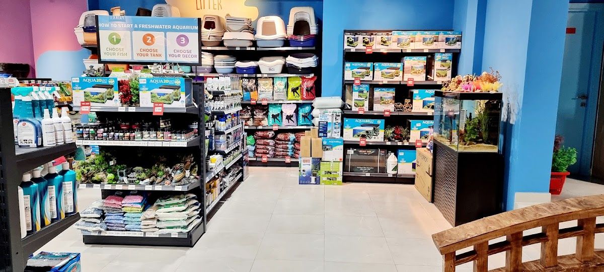 The Petshop - Umm Suqeim 3