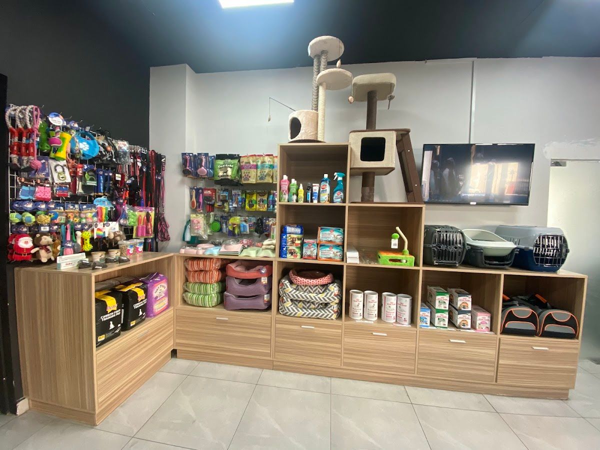 Bark Avenue UAE 2