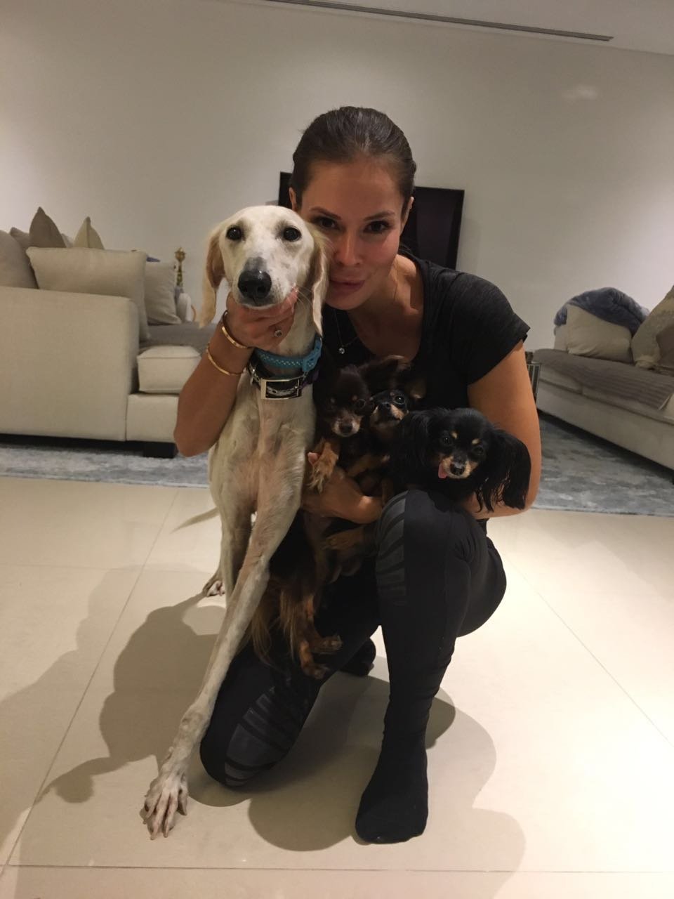 JetSet Pets - Pet Relocation Dubai