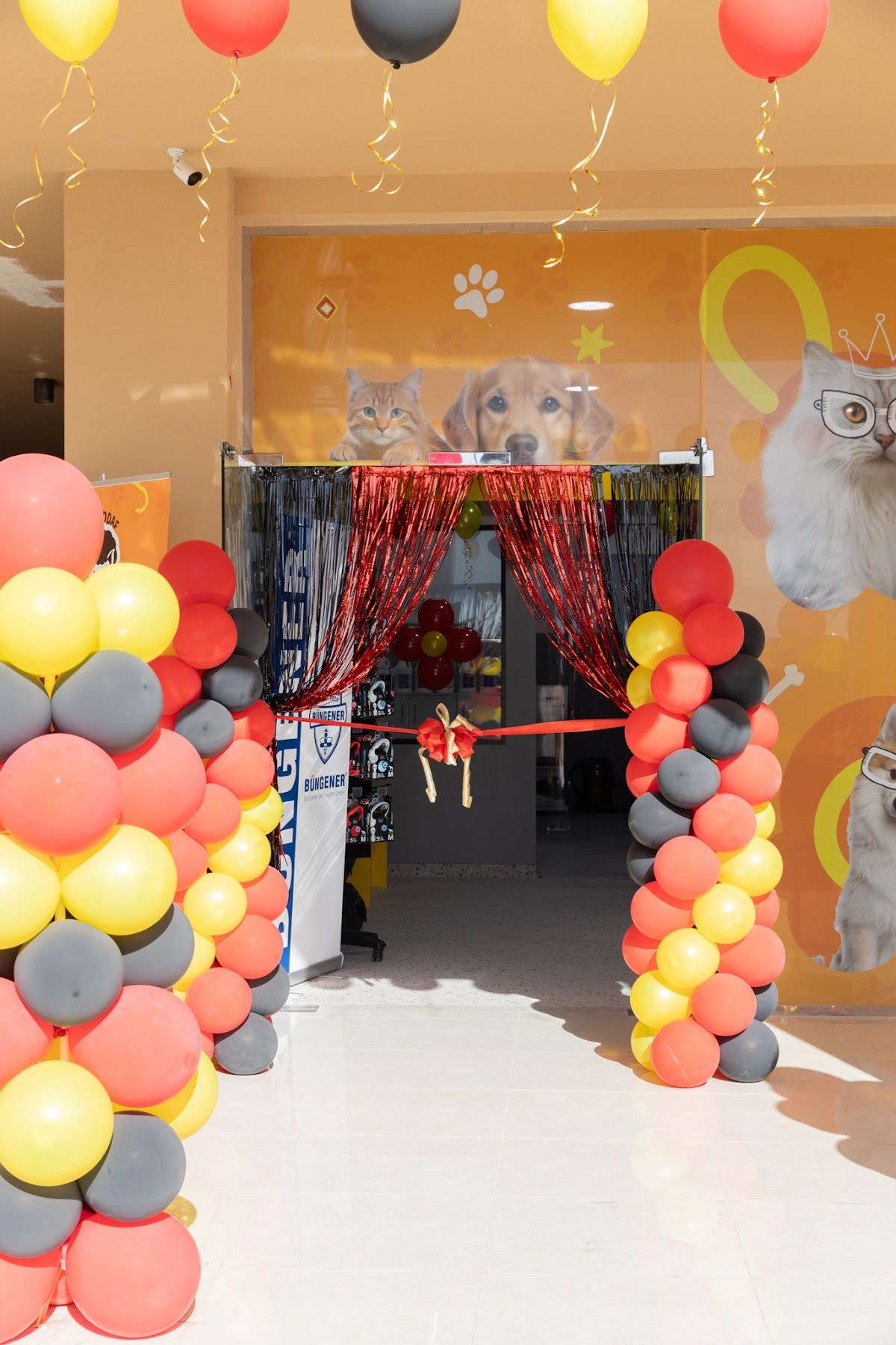 Afro Pets - Al Jaddaf 4