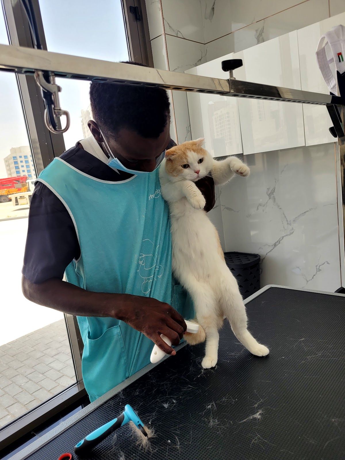 Pet Joy Clinic - Barsha Branch 3