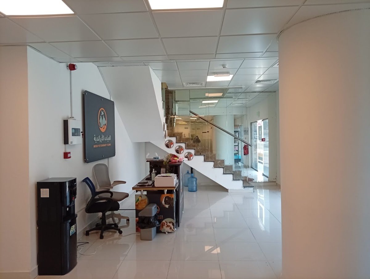العيادة الإيرلندية البيطرية Irish Veterinary Clinic عيادة آيرش بيطرية أبوظبي photo 4