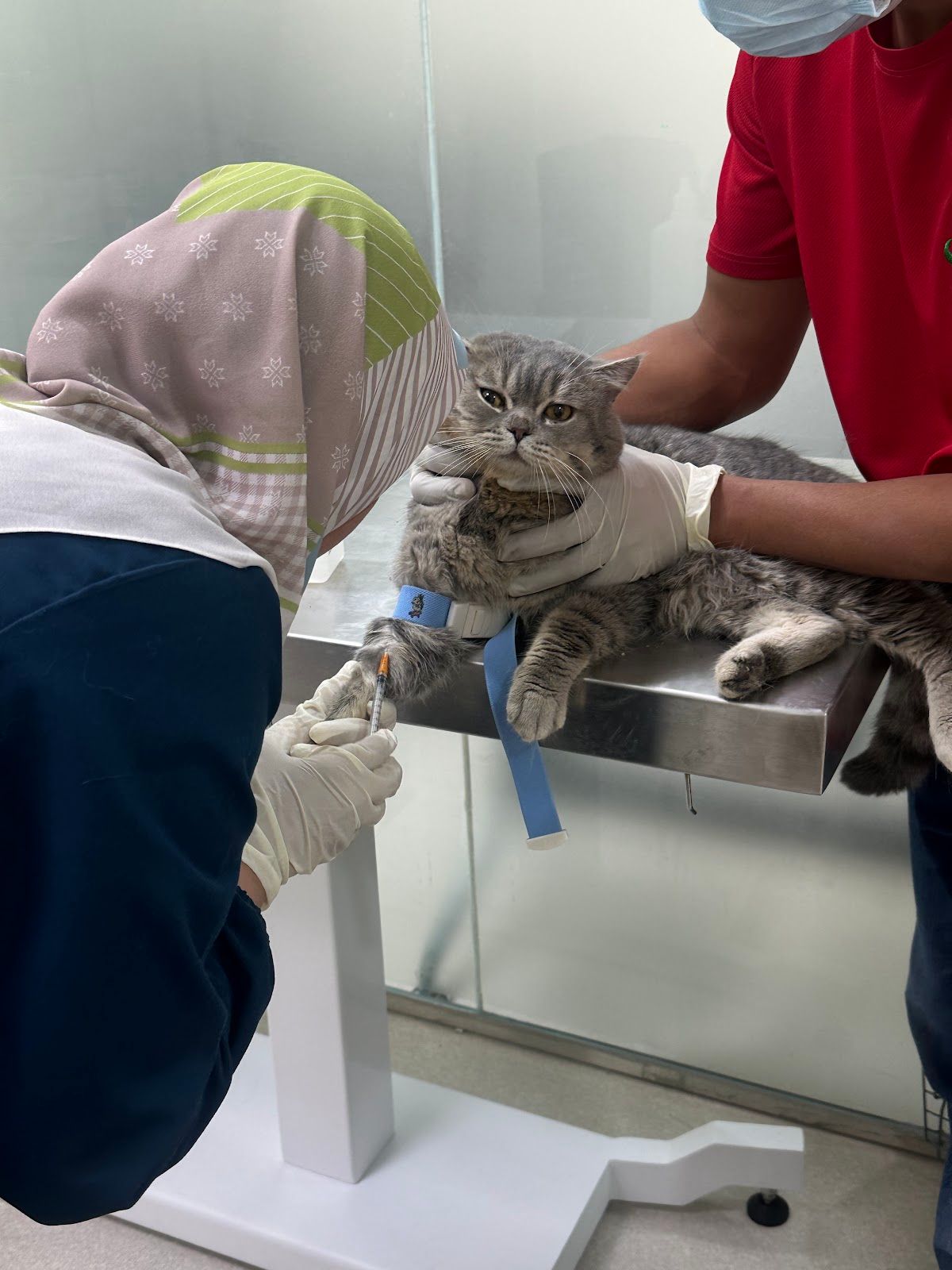 Pets World veterinary Clinic, Abu Dhabi 2
