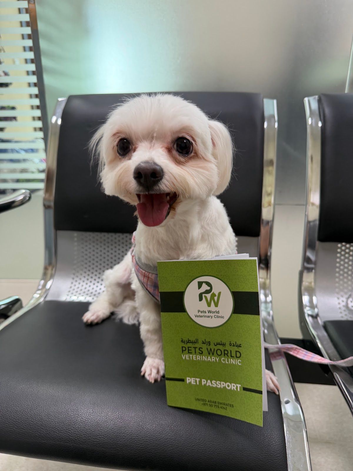 Pets World veterinary Clinic, Abu Dhabi 4