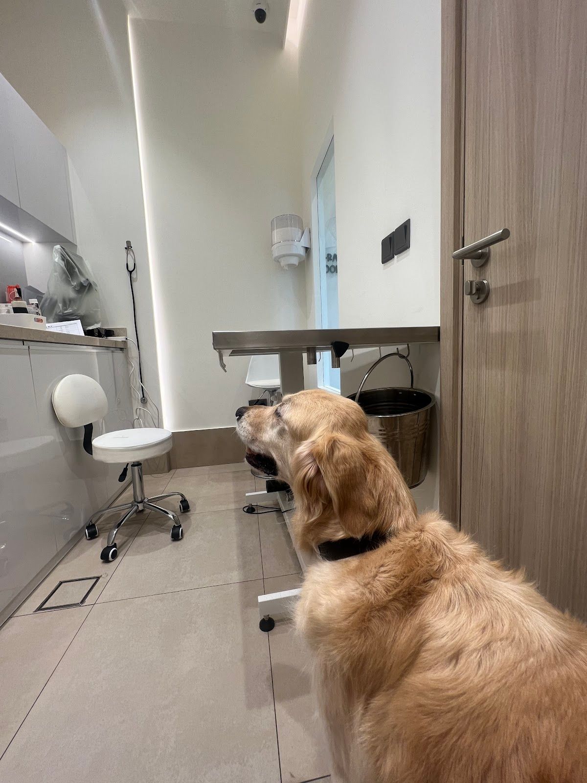 Vida Vet - Veterinary Clinic, Full Pet Health Care, Emergency Care 24/7 3