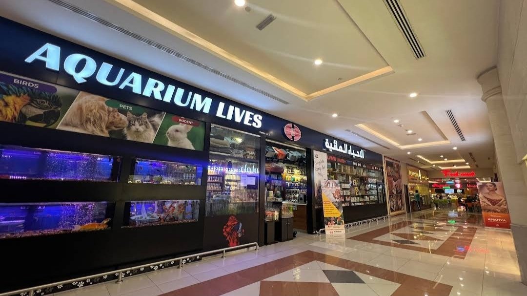 Aquarium Lives Centre