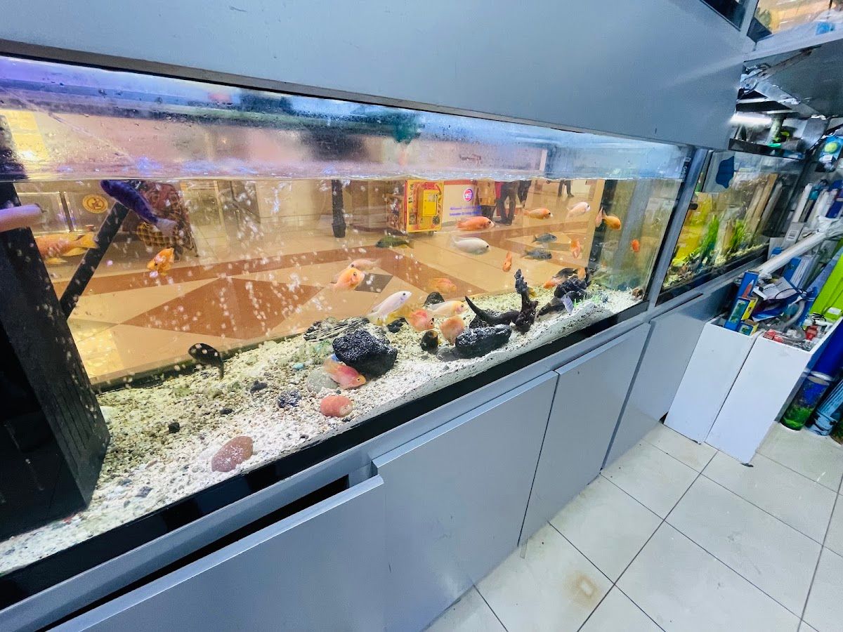 Aquarium Lives Centre 5