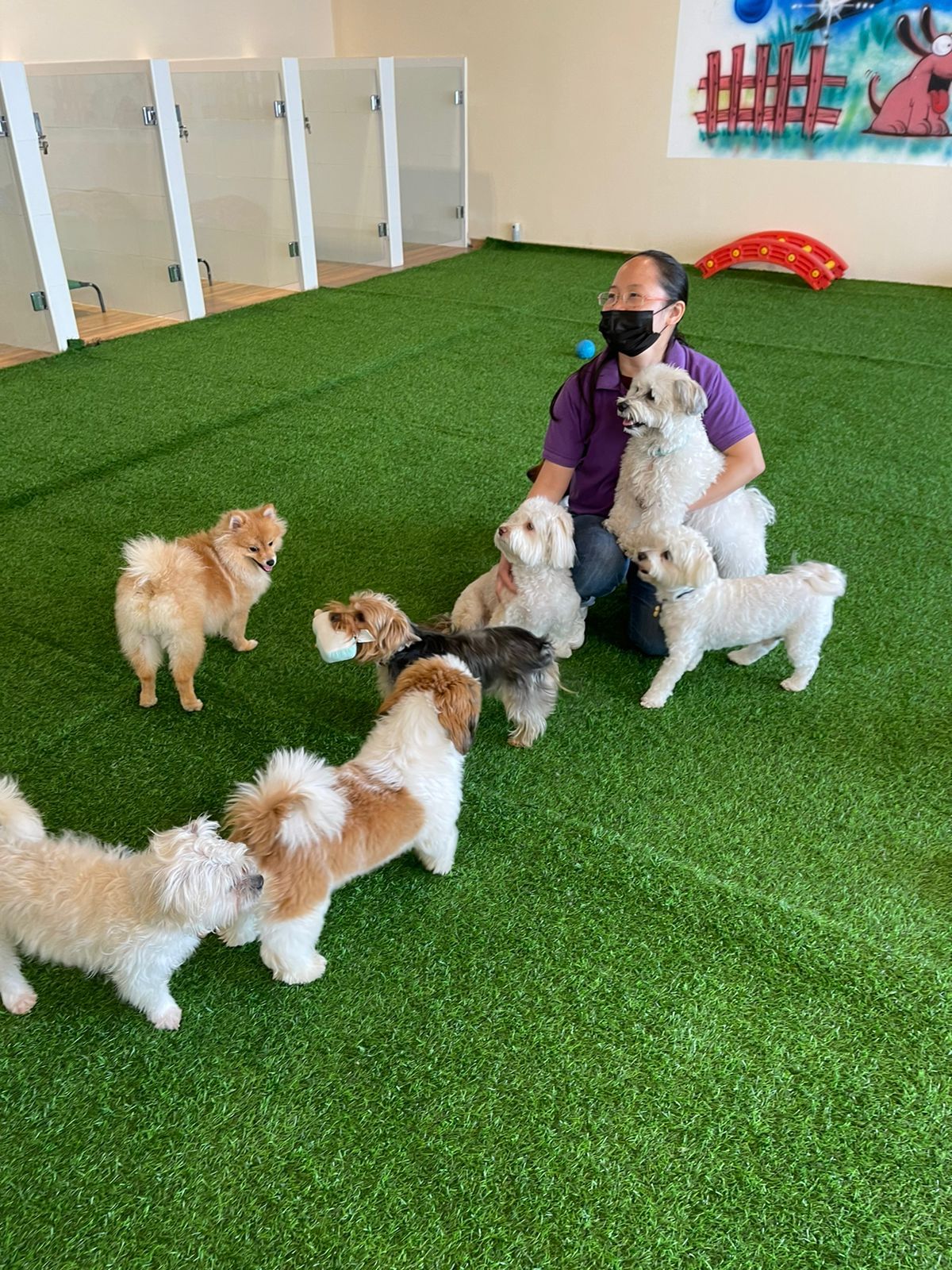 Petzania 3