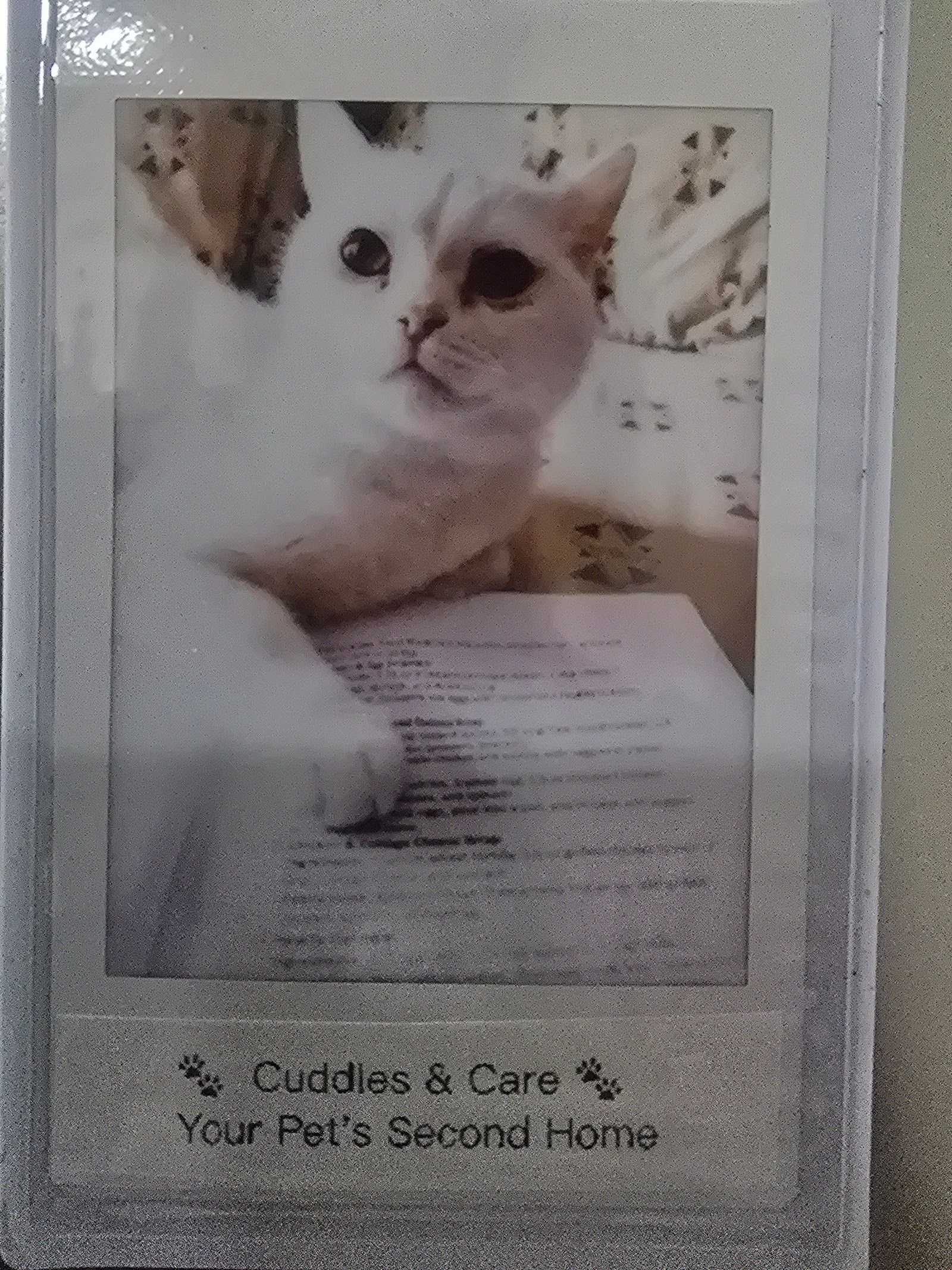 Cuddles & Care 3