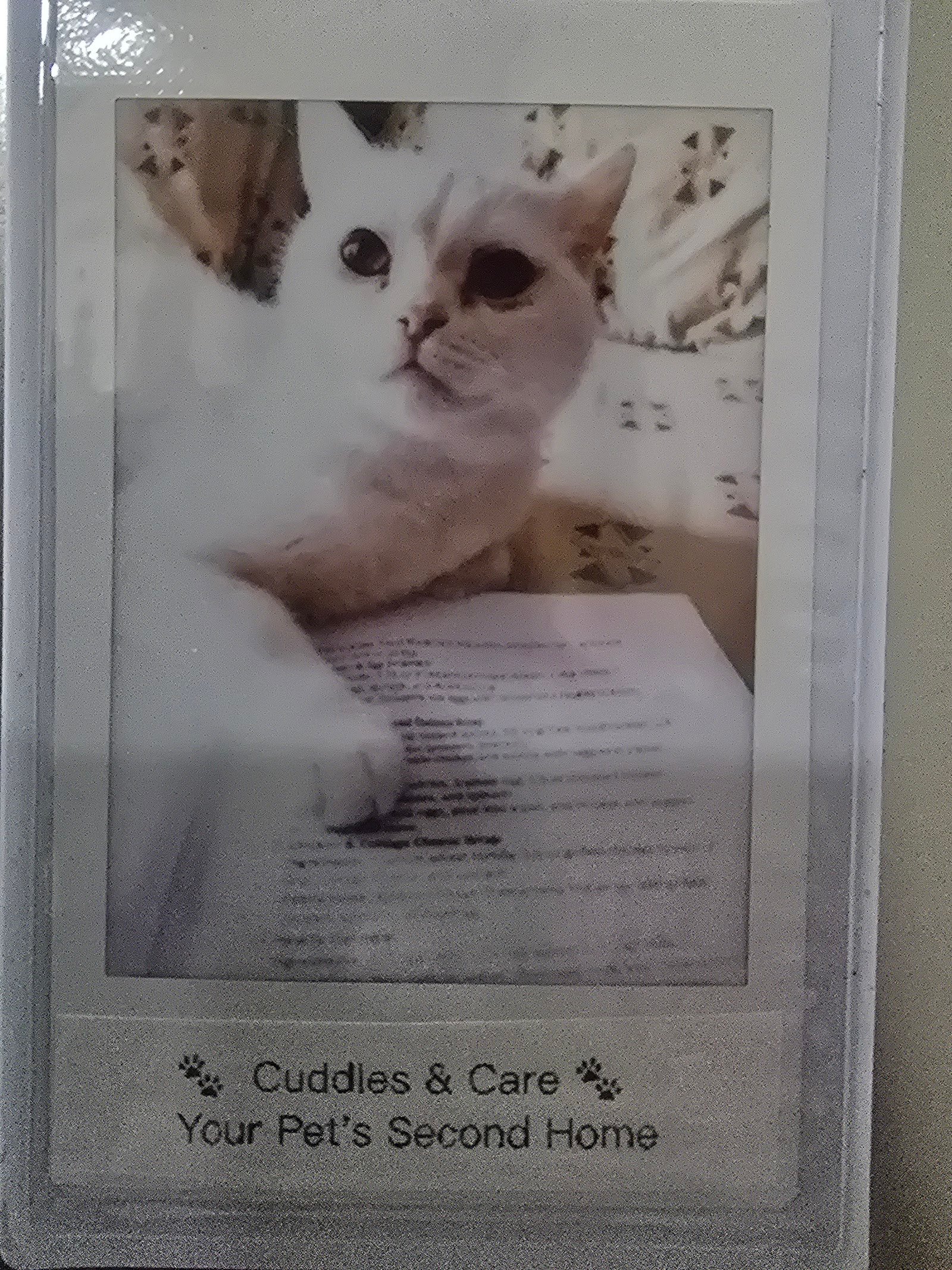 Cuddles & Care photo 3