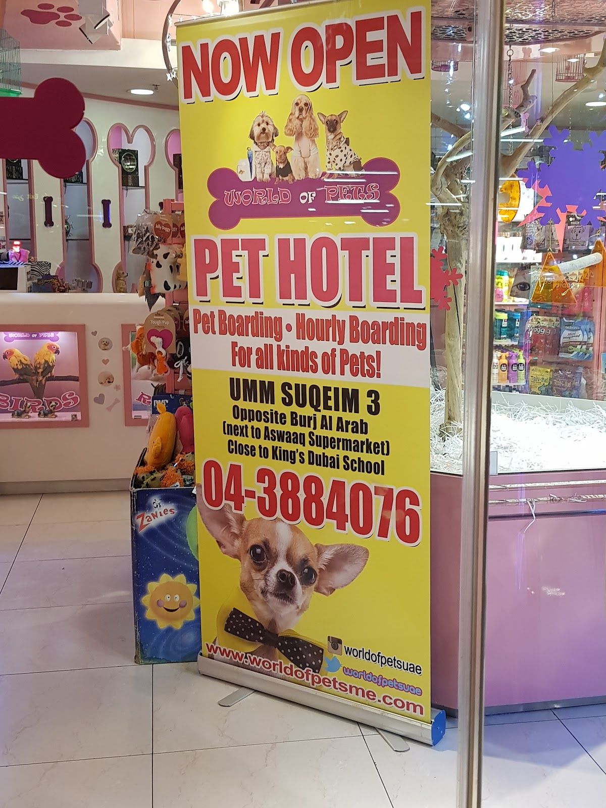World of pets 4