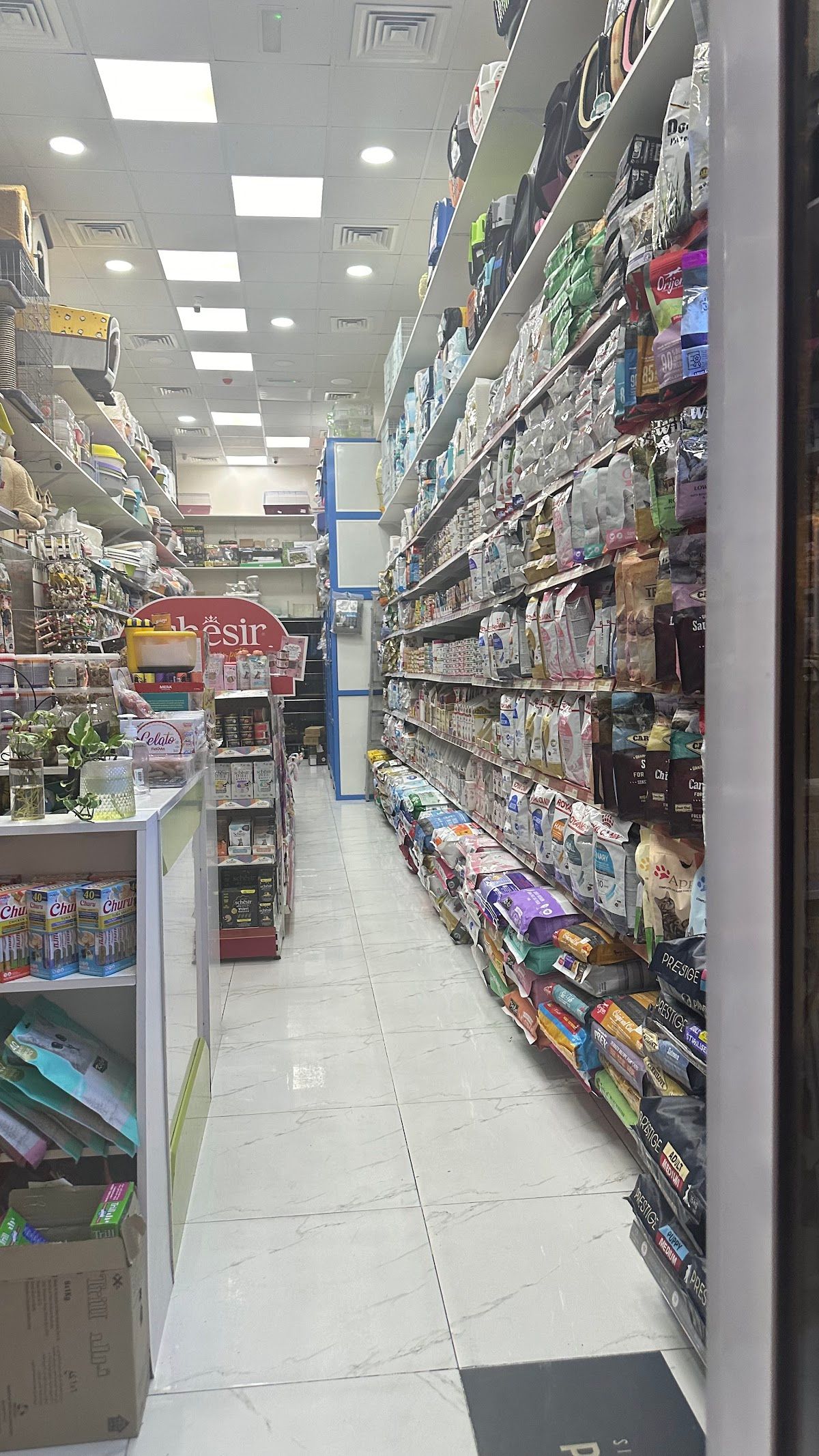 Smart Pets Grooming Salon 4