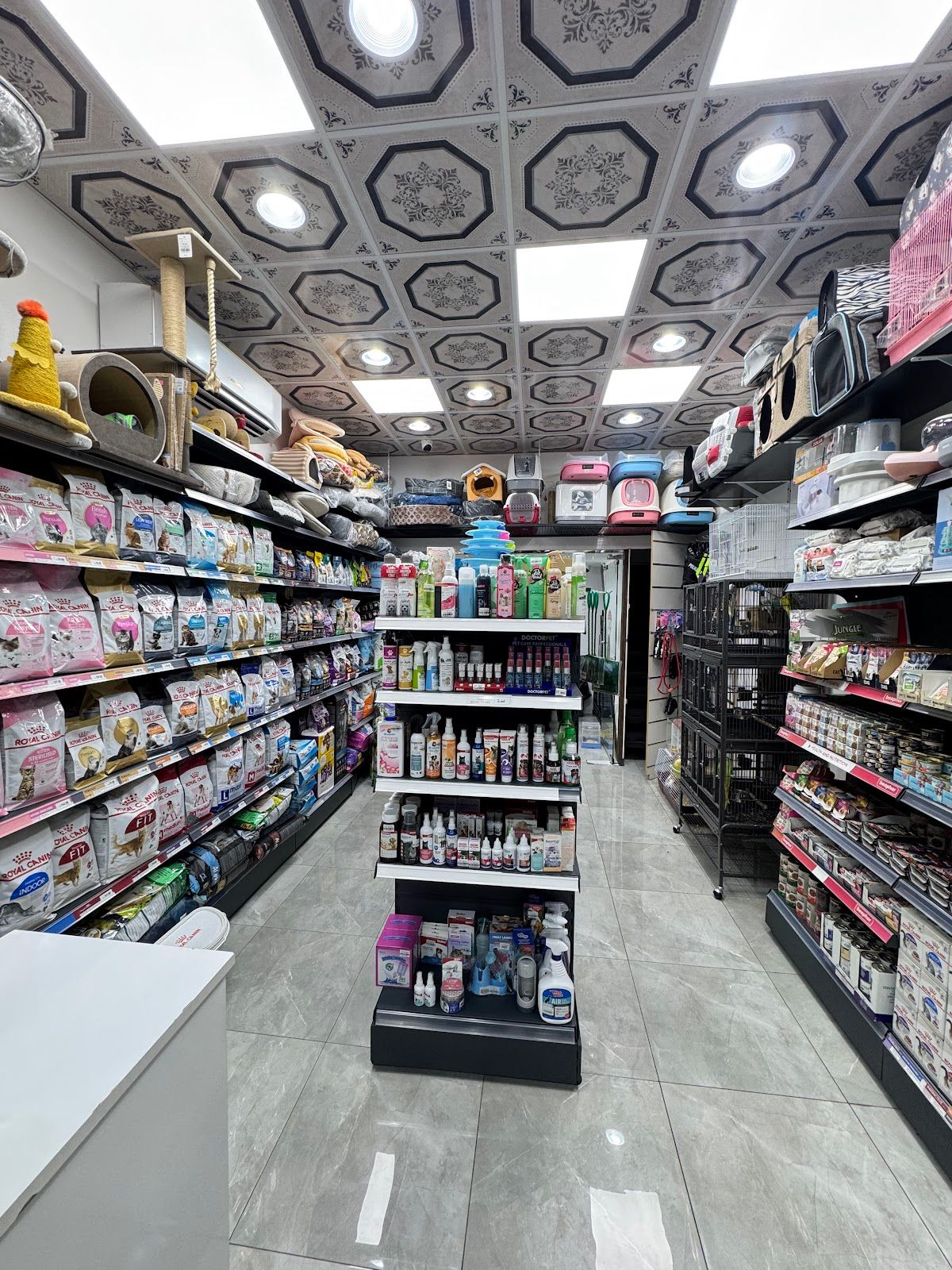 Pet paradise Pets Grooming And Supplies 2