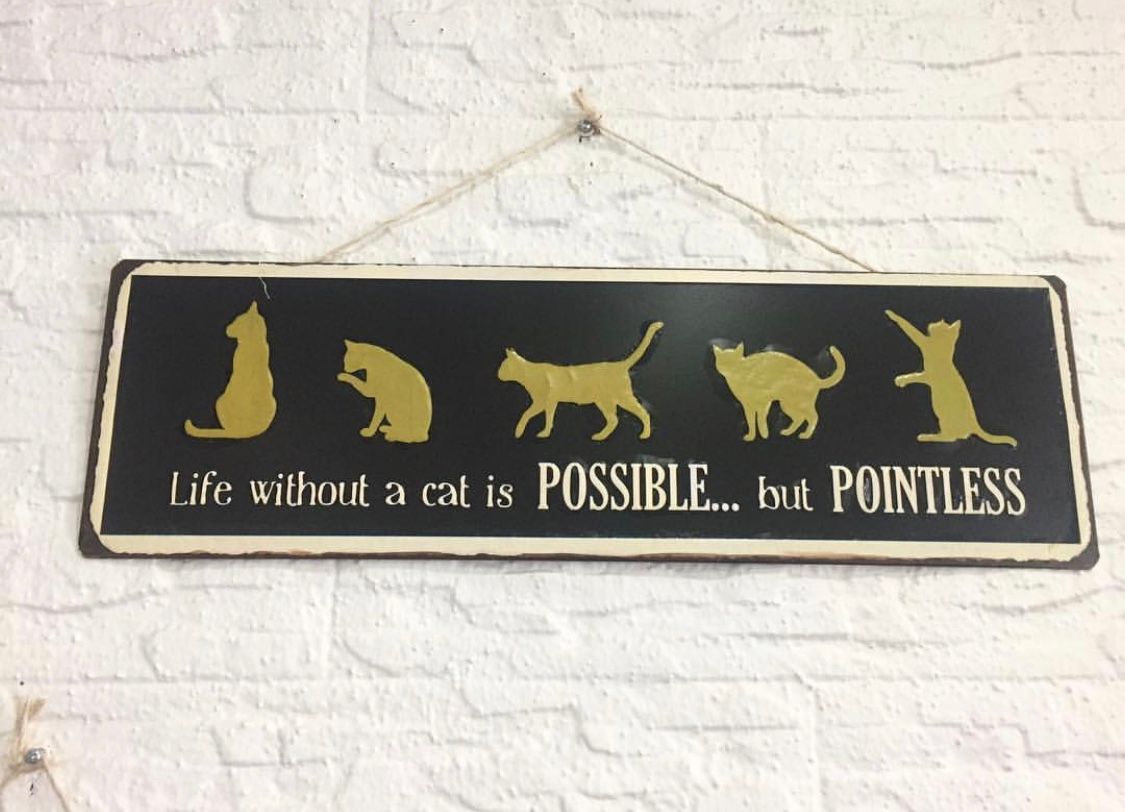 Advance Pet Clinic 5