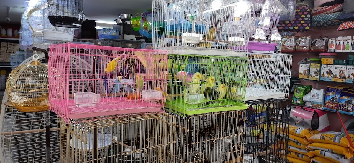 Abu Dhabi Animal Market/ Mina Animal Market photo 5