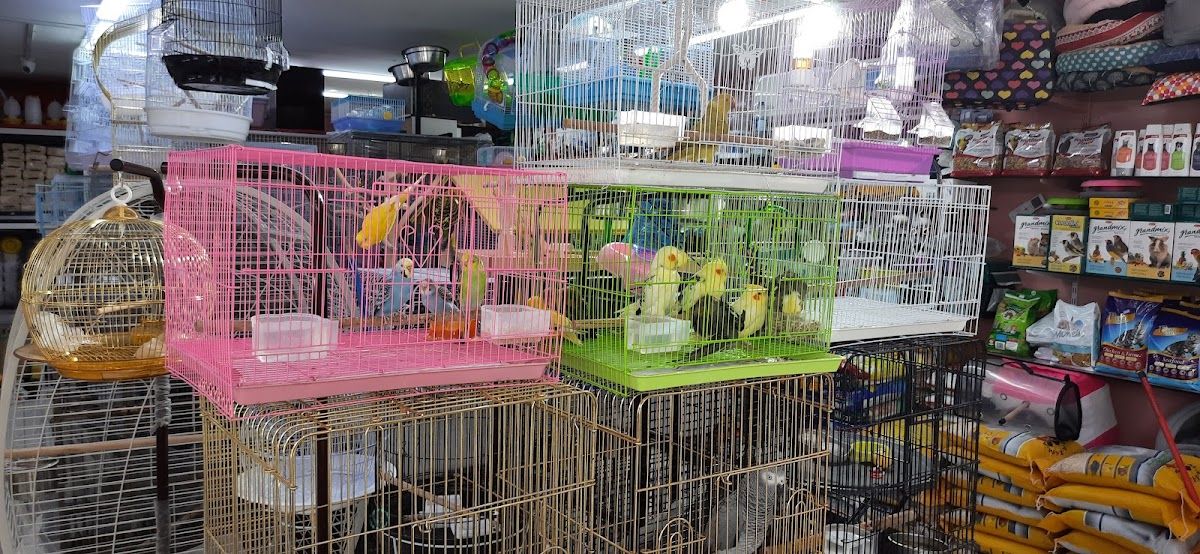 Abu Dhabi Animal Market/ Mina Animal Market 5