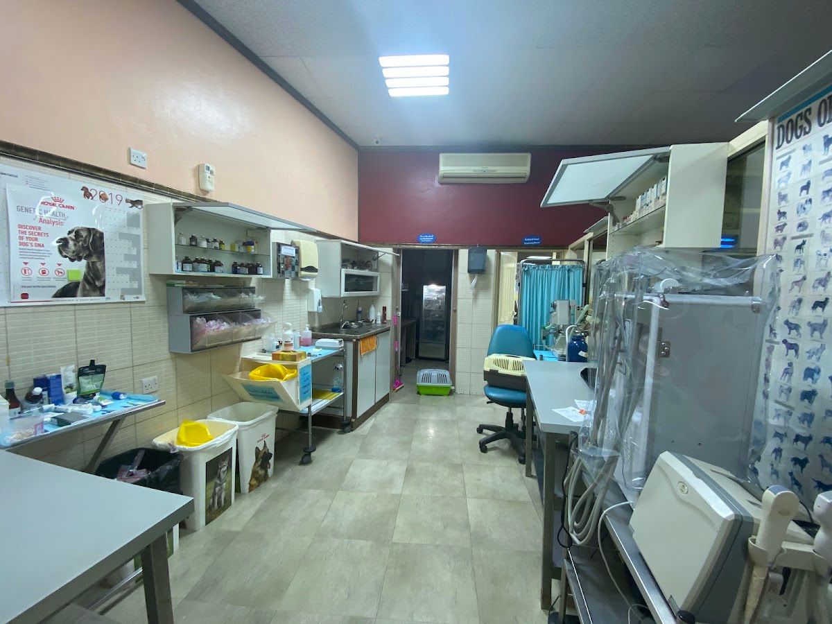 Medical Veterinary Clinic (Ras Al Khaimah) 2