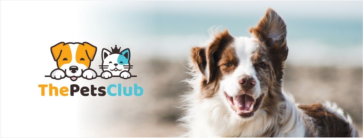 ThePetsClub 2