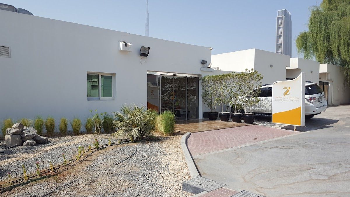 Zabeel Veterinary Hospital 2