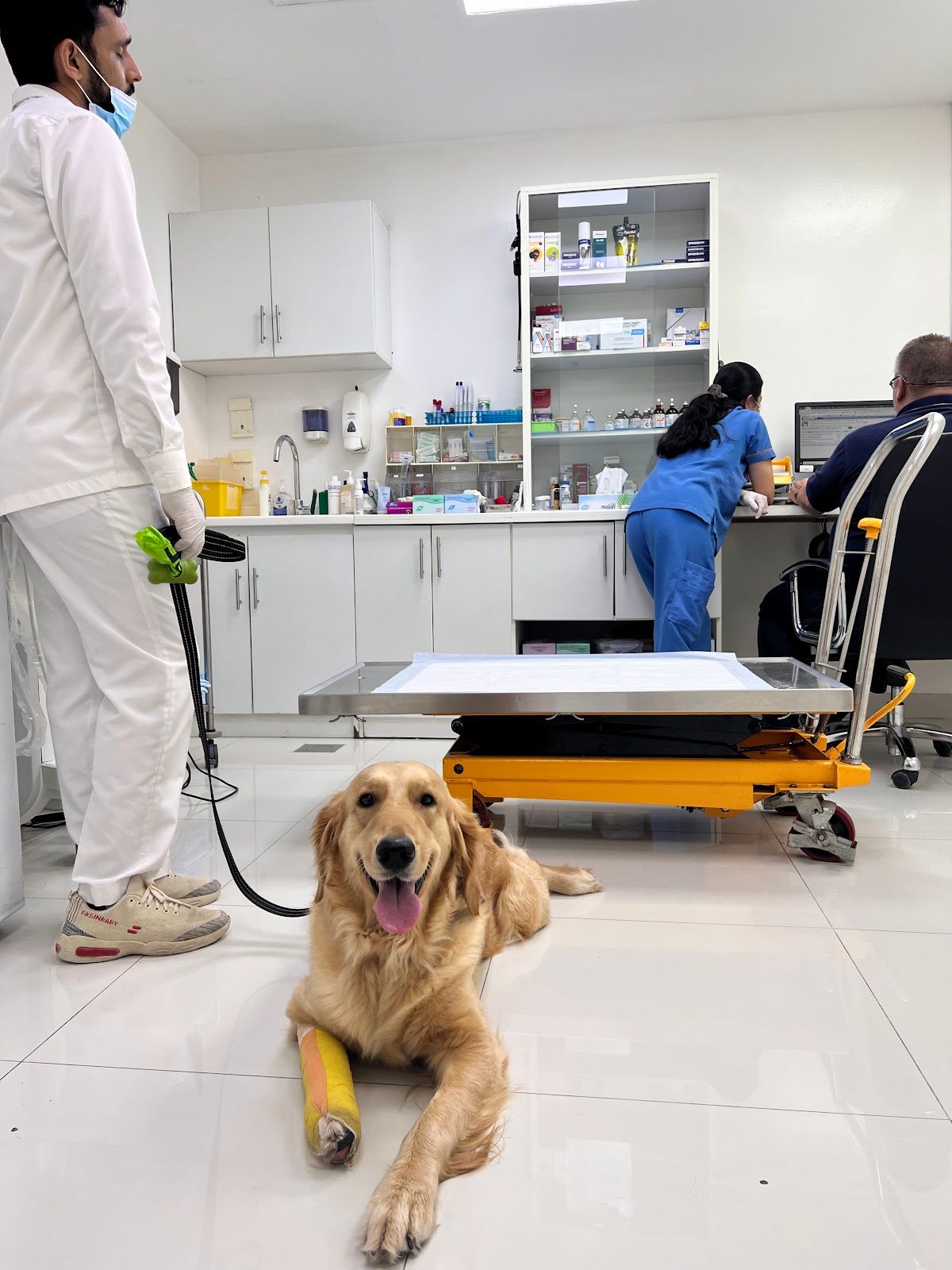 Zabeel Veterinary Hospital 4