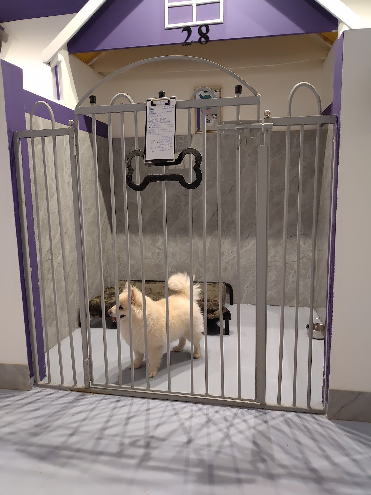 My Ploto Pets Boarding 5