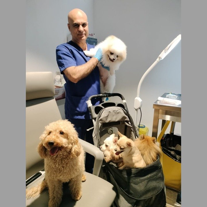 Pet Wellness Veterinary Clinic
