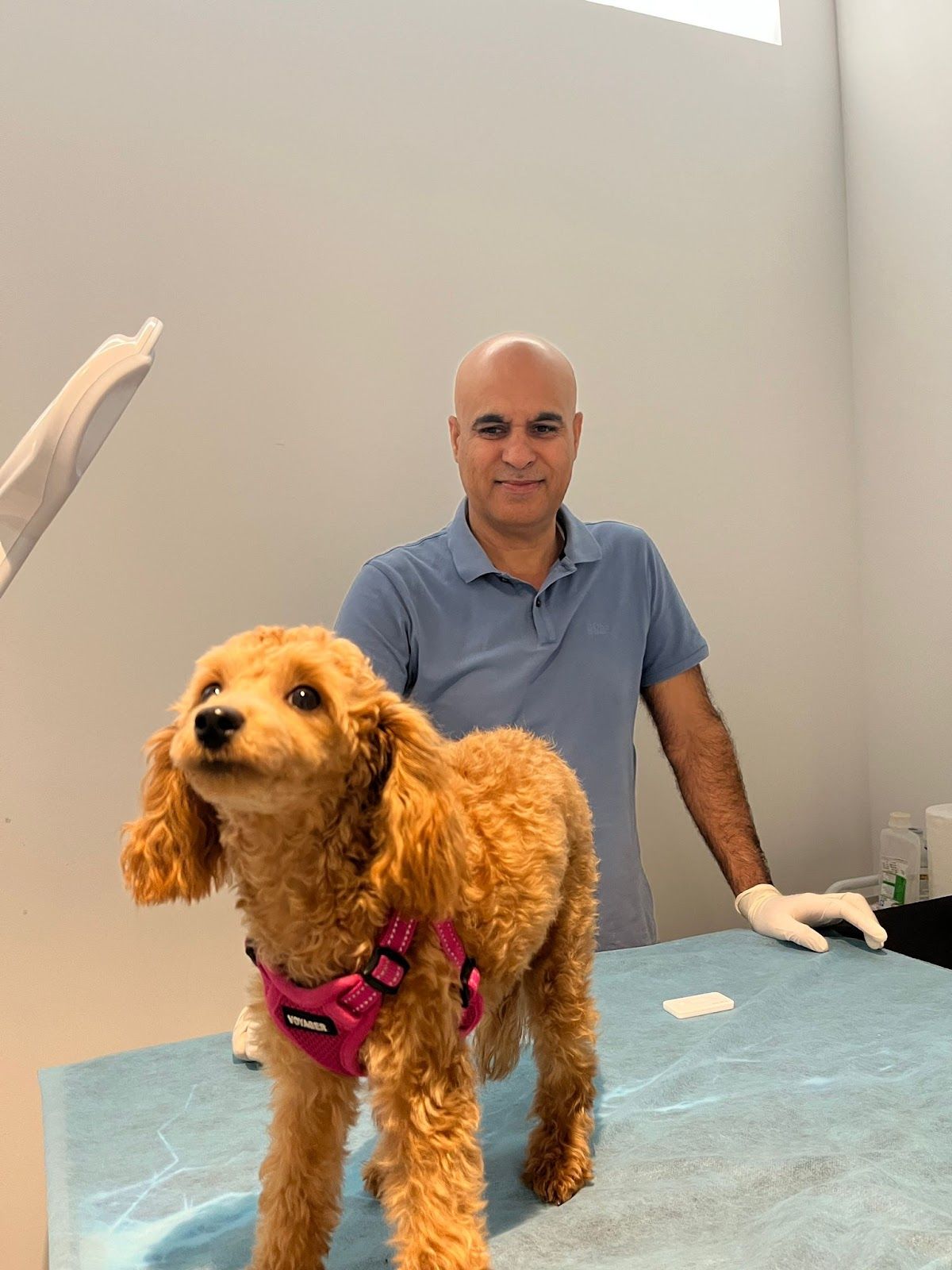 Pet Wellness Veterinary Clinic 2