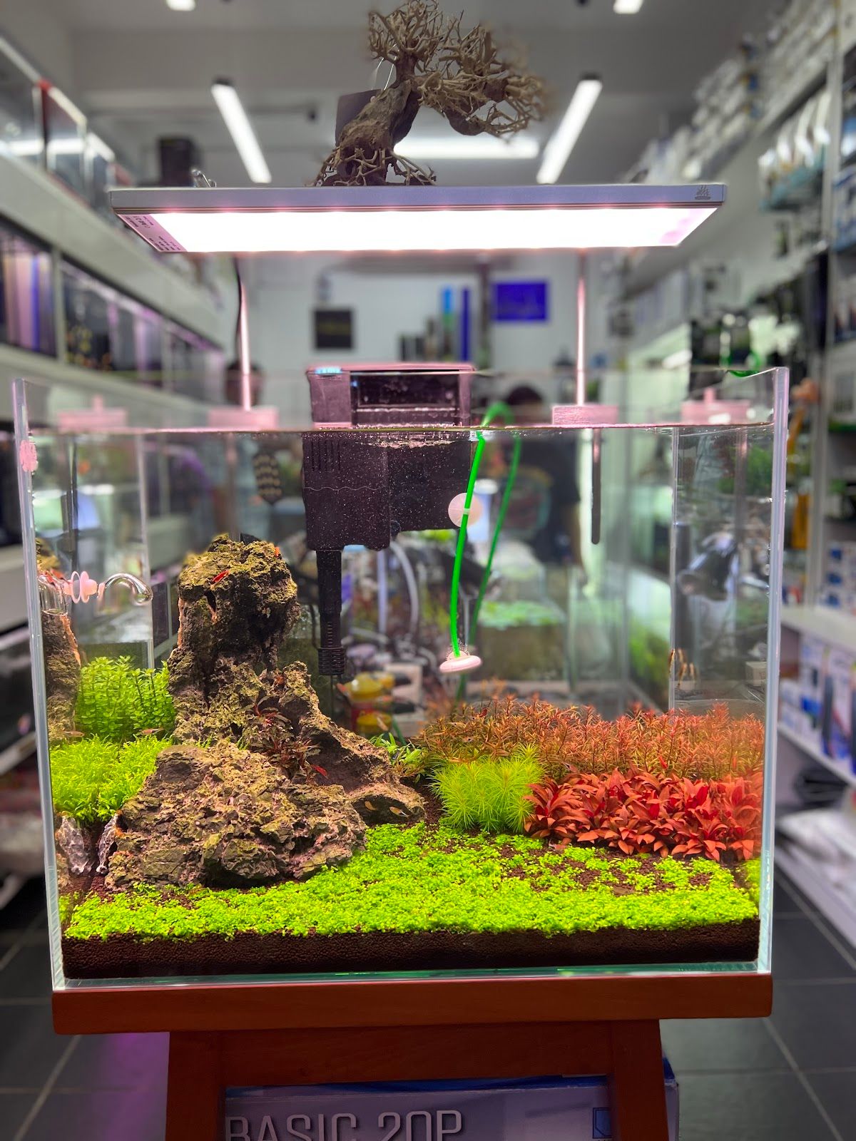 Aqualand Aquarium & Pet Food | Dubai’s Best Aquarium Shop | Pet Food & Pet Accessories in Dubai 4